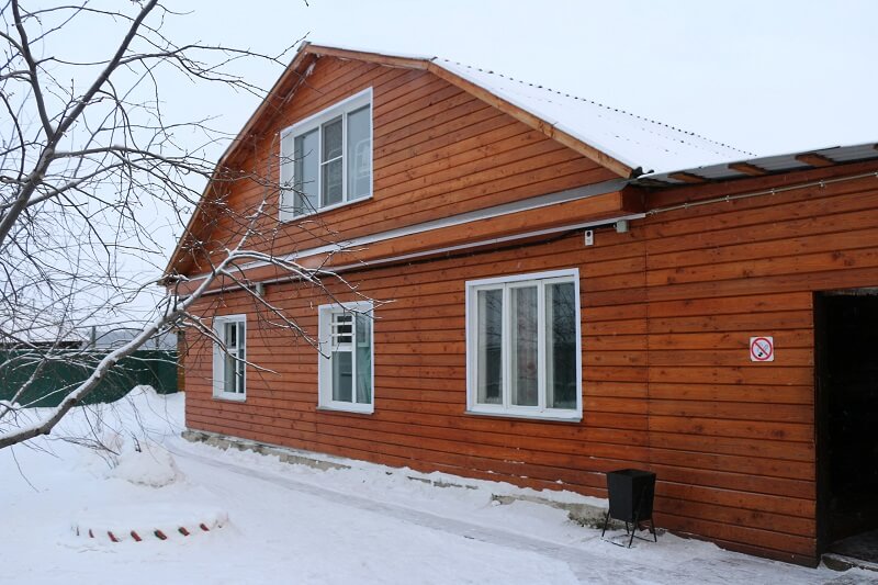Кедр г.Красноярск